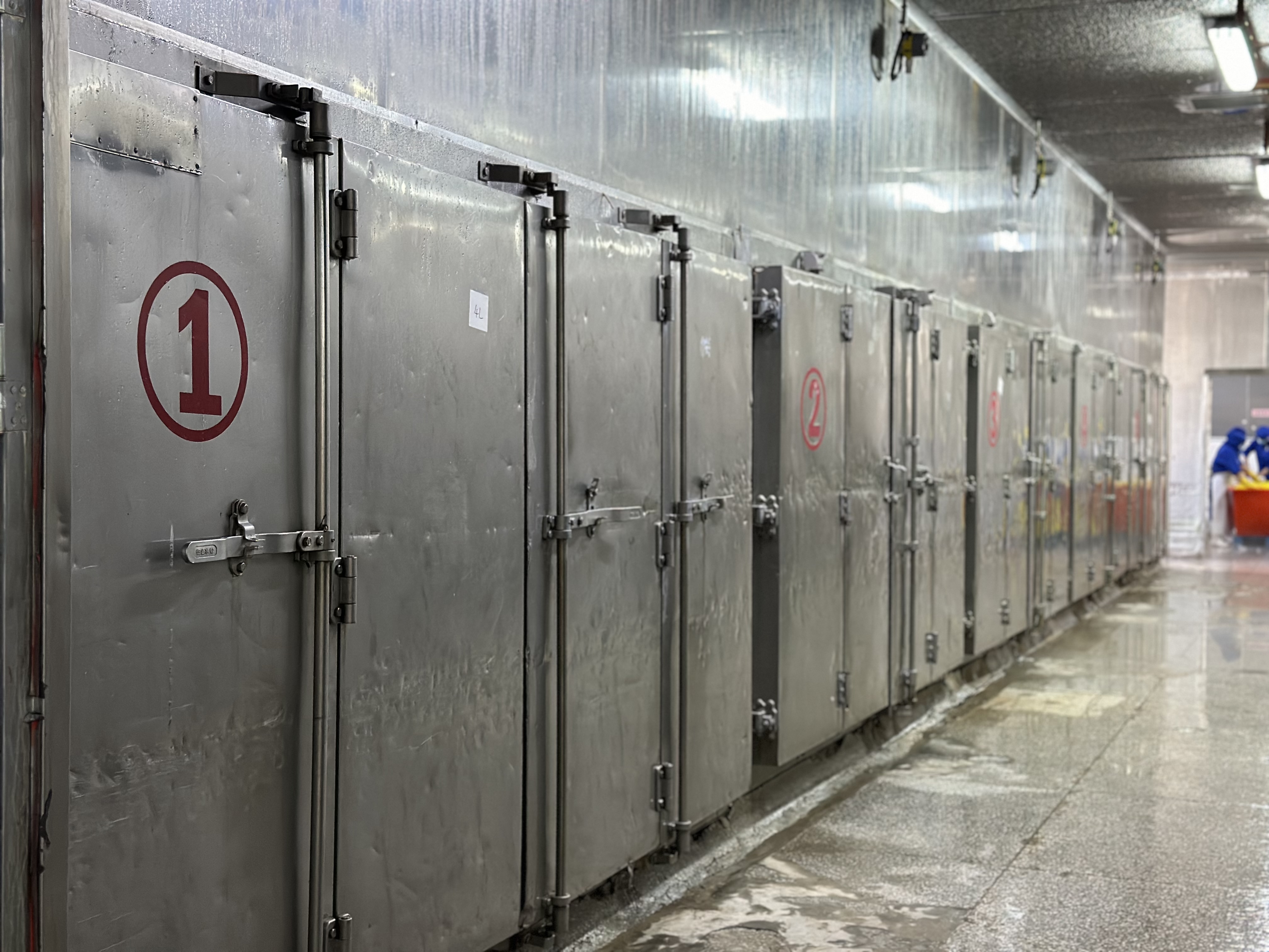 Receding row of numbered plate-freezer (BK) cabinets — operational block-freeze capacity at the facility.