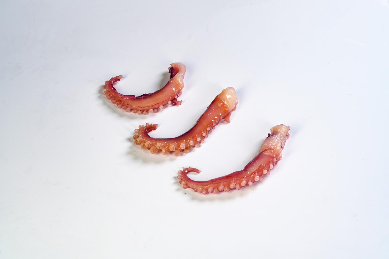 Crispy Tentacles — IQF retail-ready, three size grades