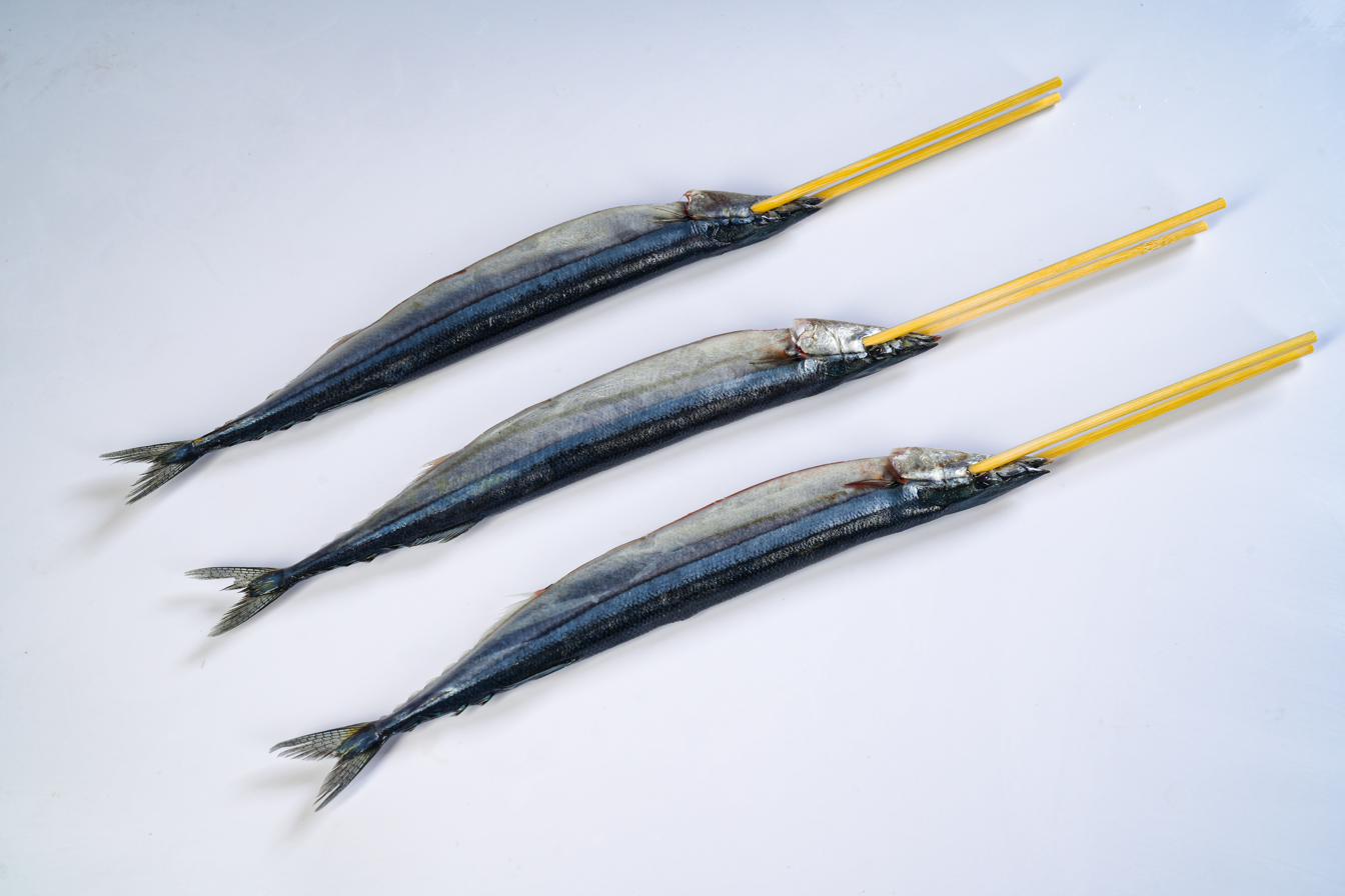 Saury Skewer — Pacific saury on bamboo skewer, IQF